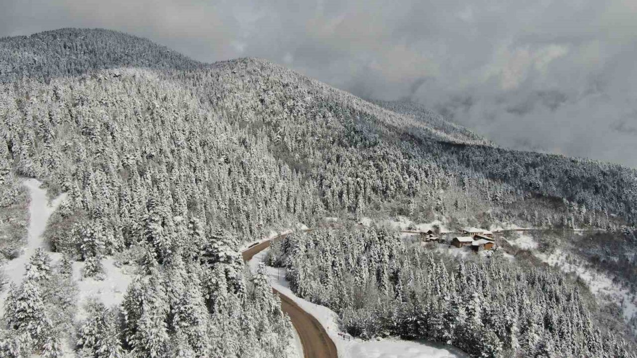 İtfaiye bu kez ağaca takılı kalan dronu kurtarmak için seferber oldu