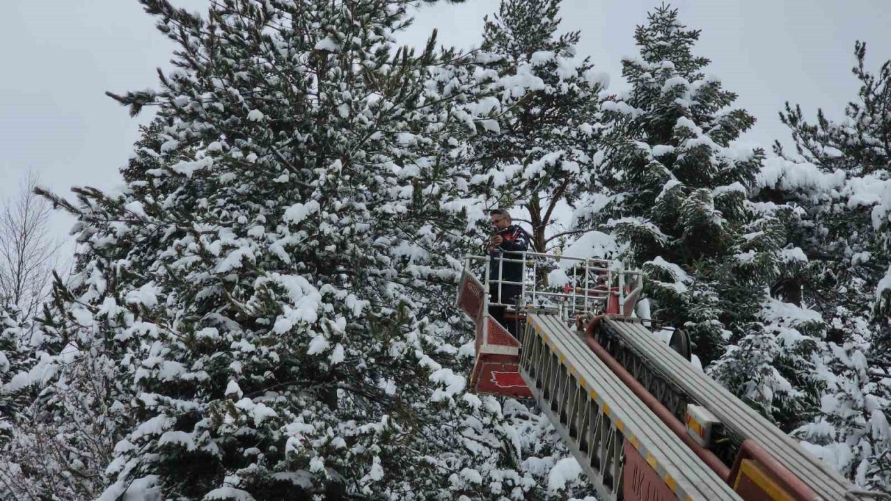 İtfaiye bu kez ağaca takılı kalan dronu kurtarmak için seferber oldu