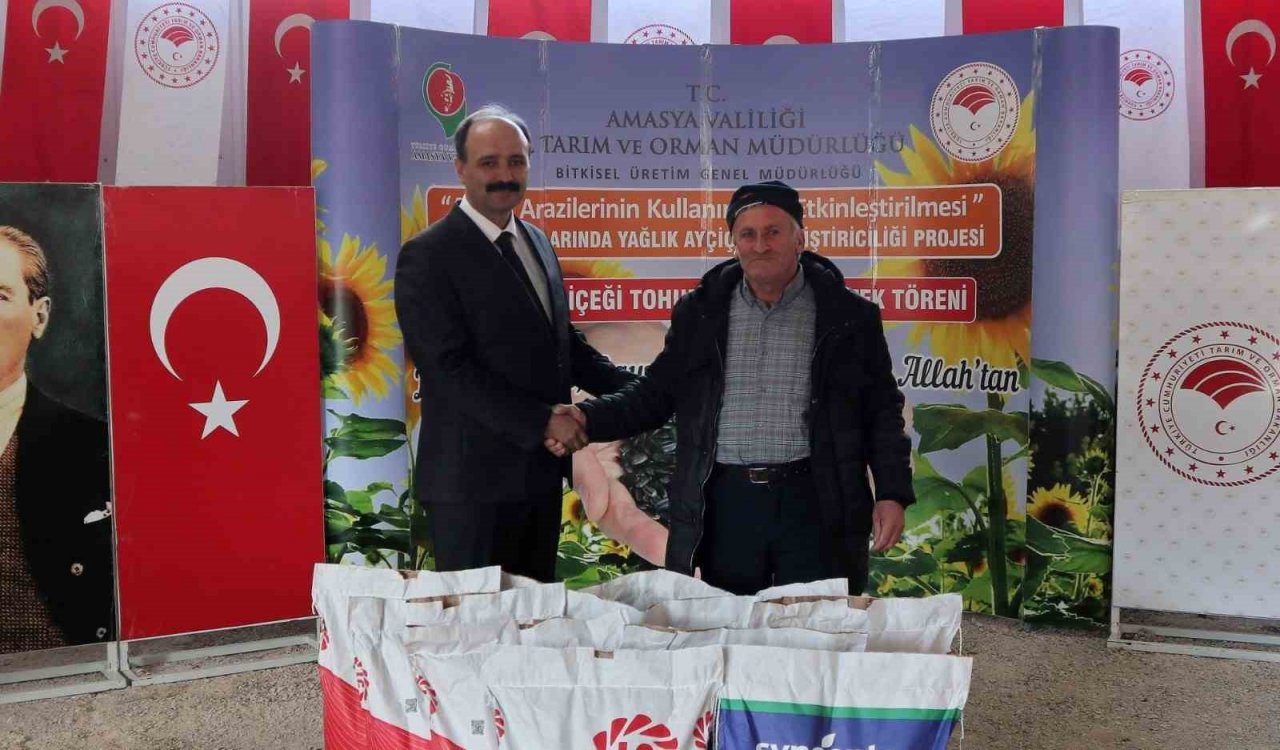 Amasya’da çiftçilere ayçiçek tohumu desteği