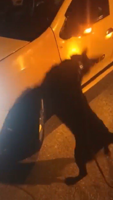 Muğla’da durdurulan takside 1 kilo skunk ele geçirildi