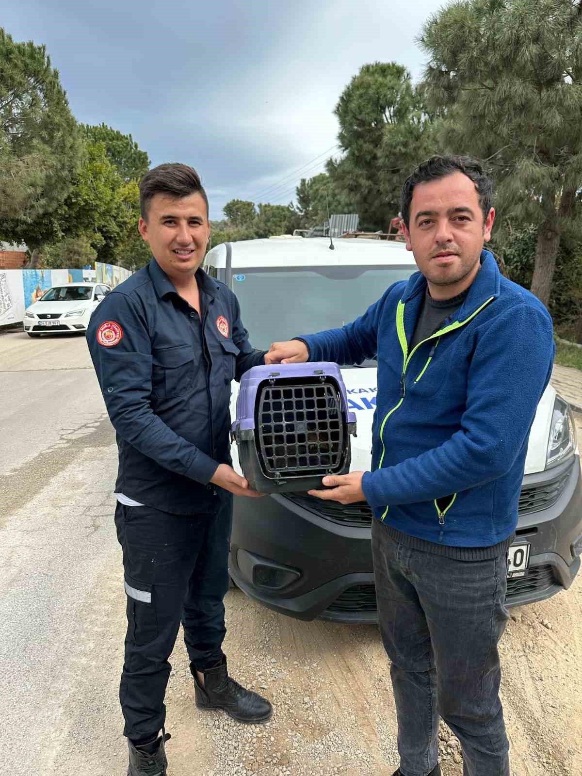 Muğla’da 15 metrelik kuyuya düşen kediyi itfaiye ekipleri kurtardı