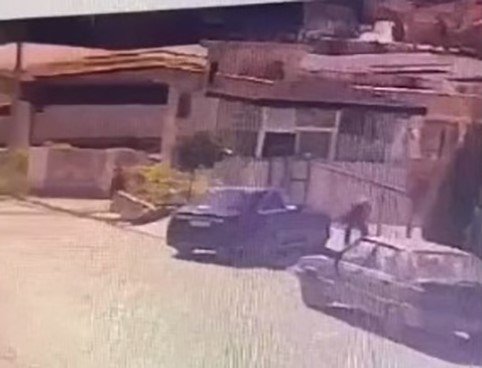 Şanlıurfa’da 1 kişinin öldüğü silahlı kavga kameraya yansıdı