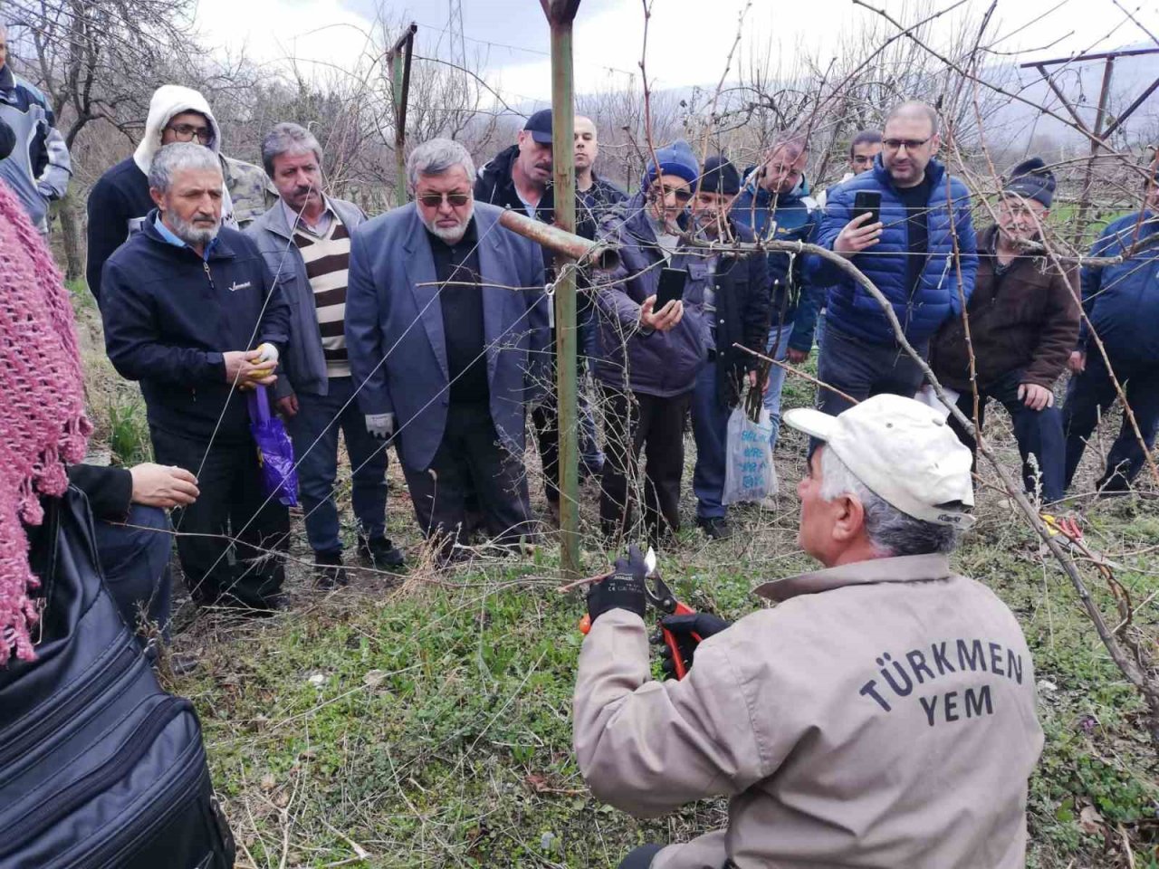 Çiftçilere meyve ağacı aşılama ve budama eğitimi