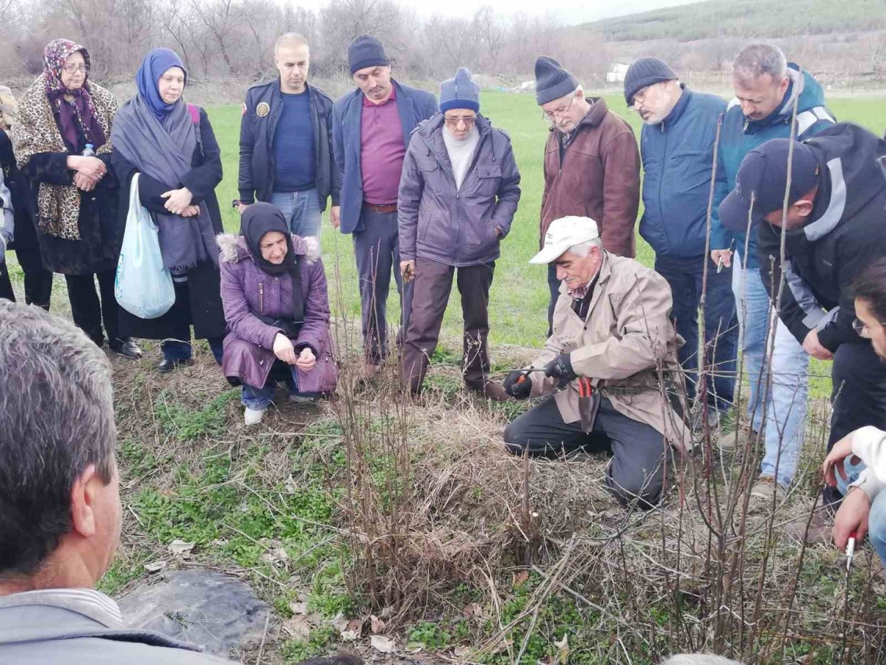 Çiftçilere meyve ağacı aşılama ve budama eğitimi