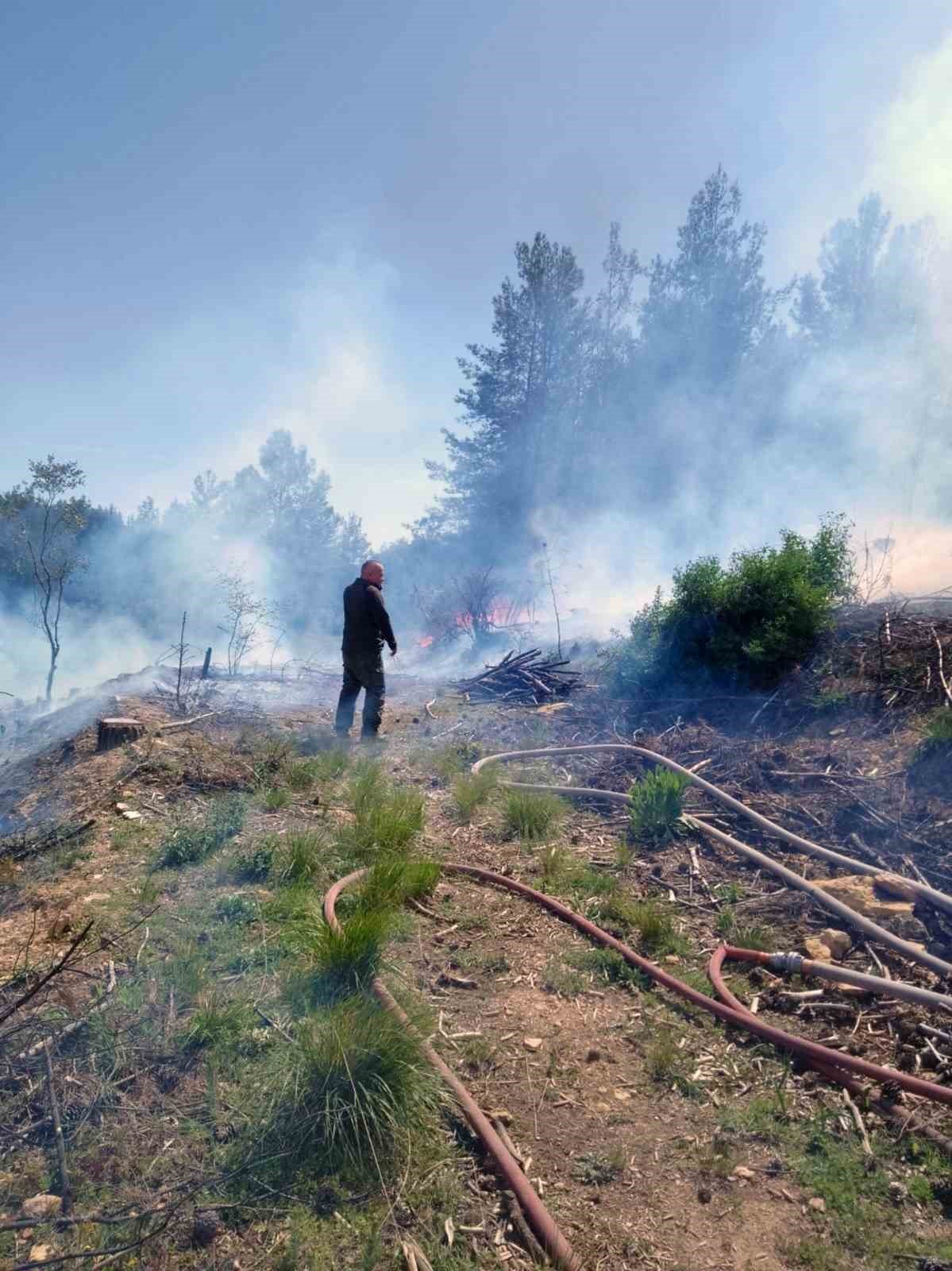 Temizlik ateşi ormanı yakıyordu