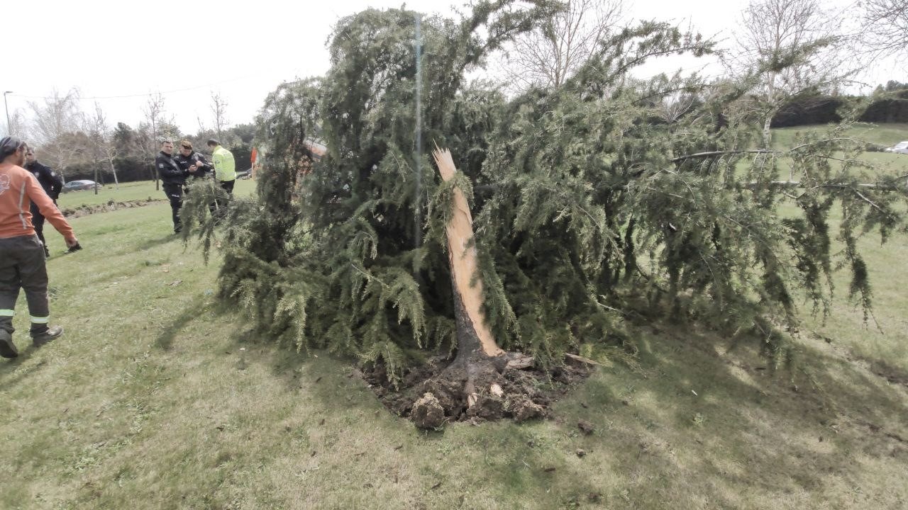 Sultangazi’de virajı alamayan hafif ticari araç ağacı devirip takla attı