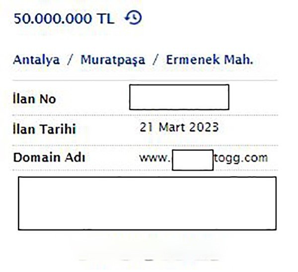 Togg’un adı bile yetiyor; şimdi de domain satıyorlar