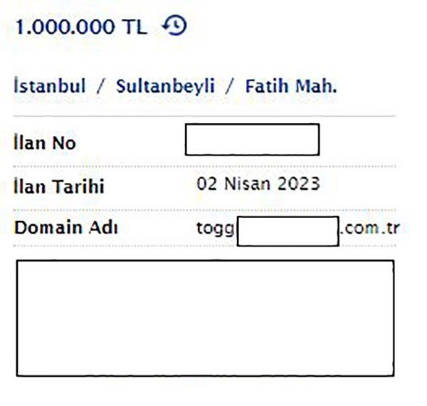 Togg’un adı bile yetiyor; şimdi de domain satıyorlar