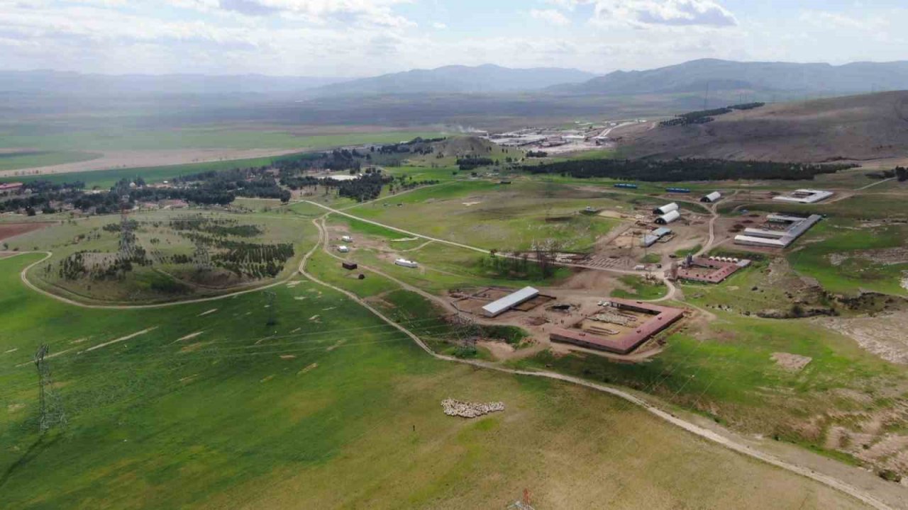 Kuzuların, anneleriyle renkli buluşması