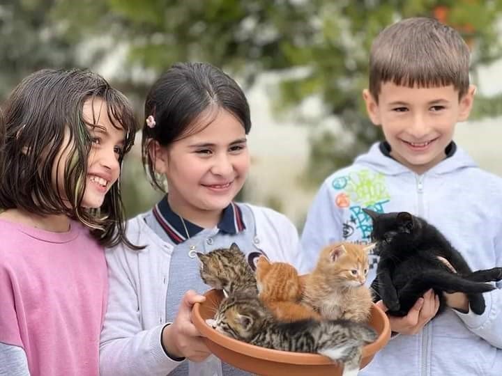 Serik’te sokak hayvanları unutulmadı