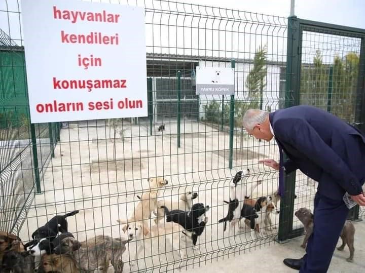 Serik’te sokak hayvanları unutulmadı