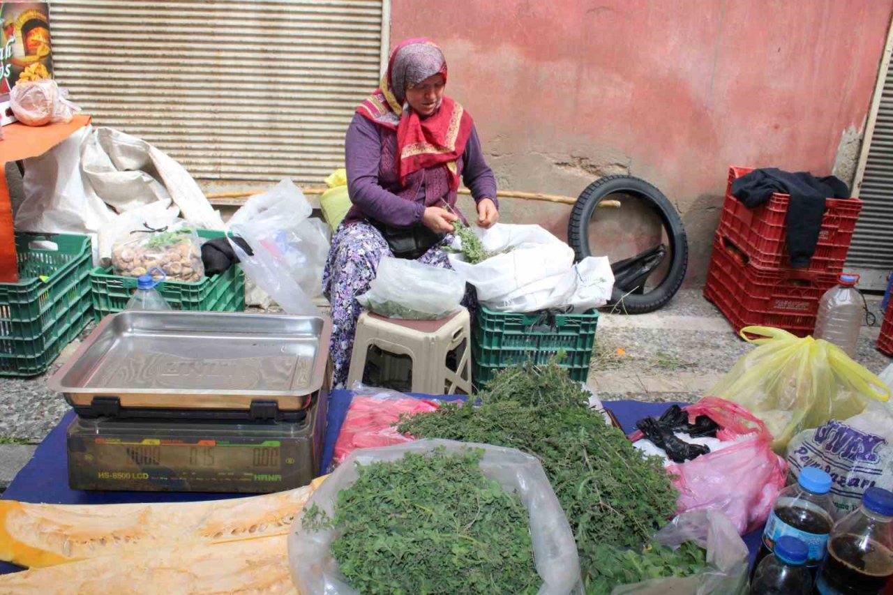Aydın’da dağ kekikleri tezgahlarda yerini aldı
