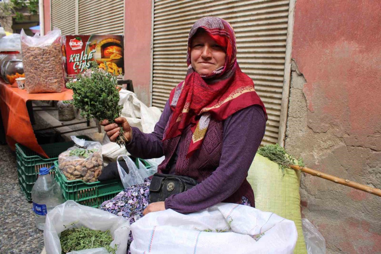 Aydın’da dağ kekikleri tezgahlarda yerini aldı