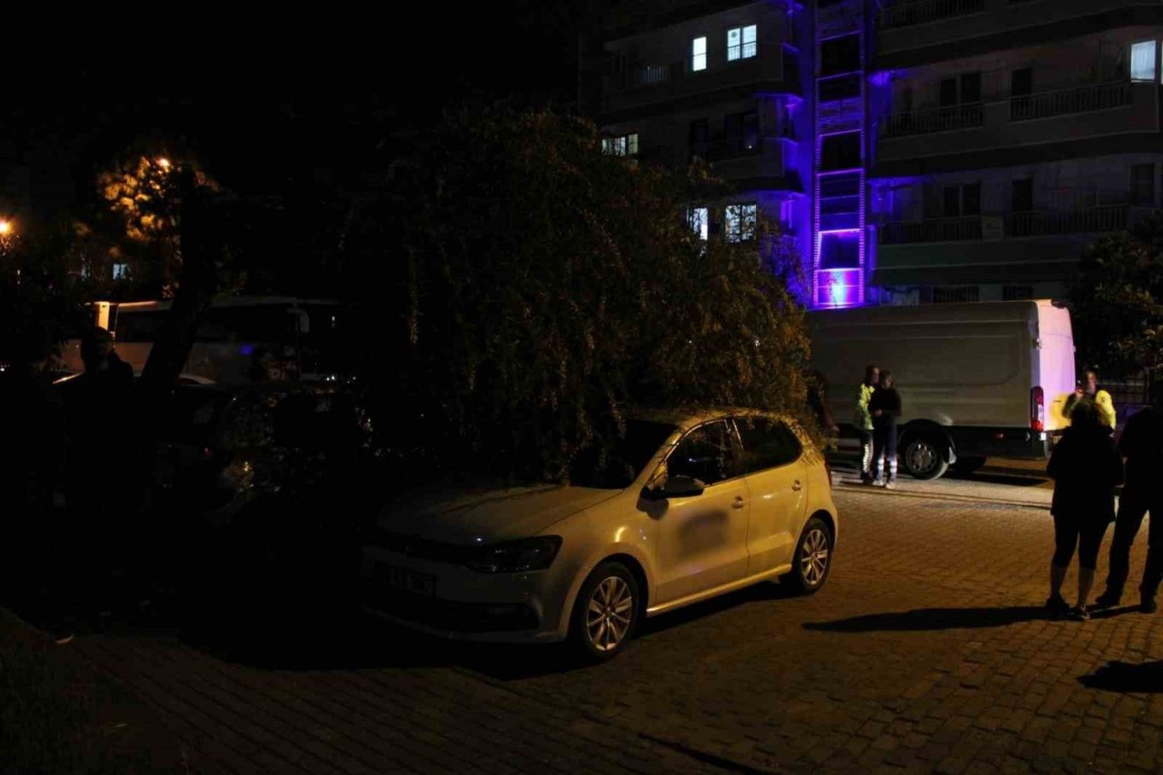 Vatandaşın dikkati devrilen ağaçtan otomobilleri kurtardı