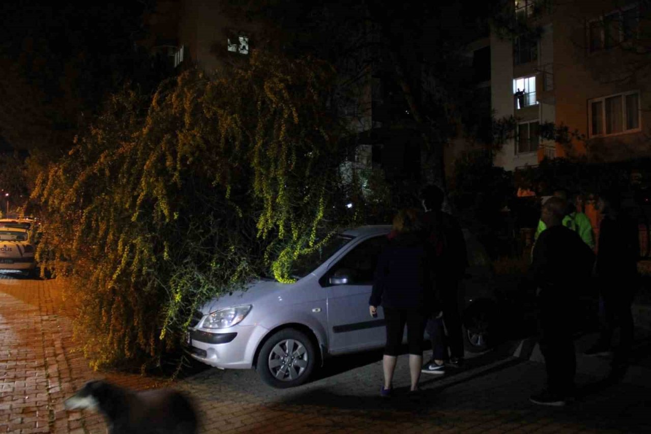Vatandaşın dikkati devrilen ağaçtan otomobilleri kurtardı
