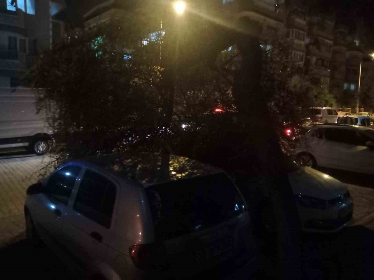 Vatandaşın dikkati devrilen ağaçtan otomobilleri kurtardı