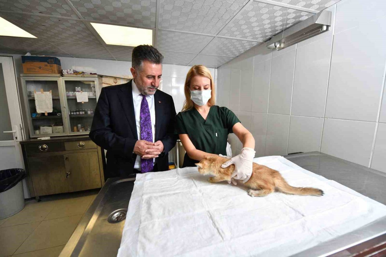 Bayraklı’daki can dostlara özel klinik