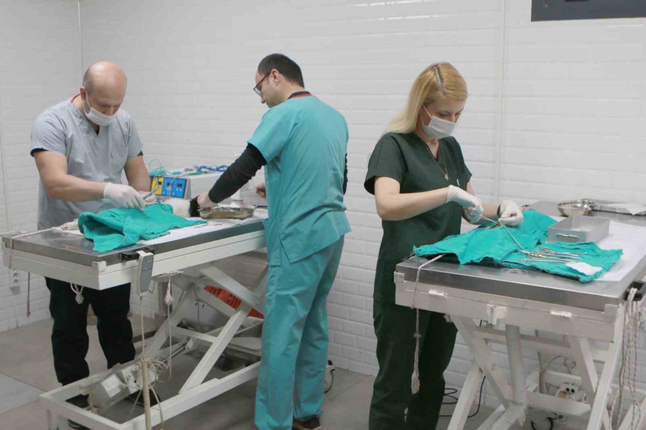 Bayraklı’daki can dostlara özel klinik