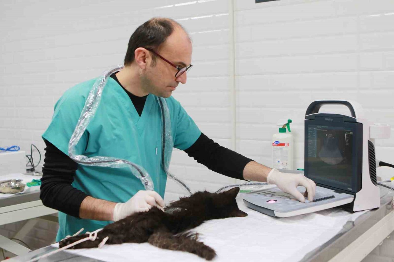 Bayraklı’daki can dostlara özel klinik