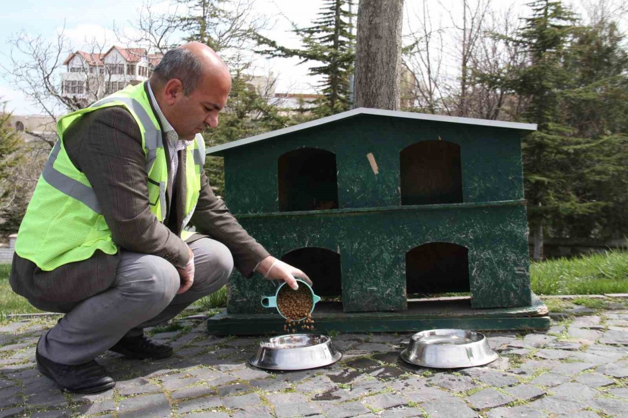 Elazığ’da sokak hayvanları unutulmadı