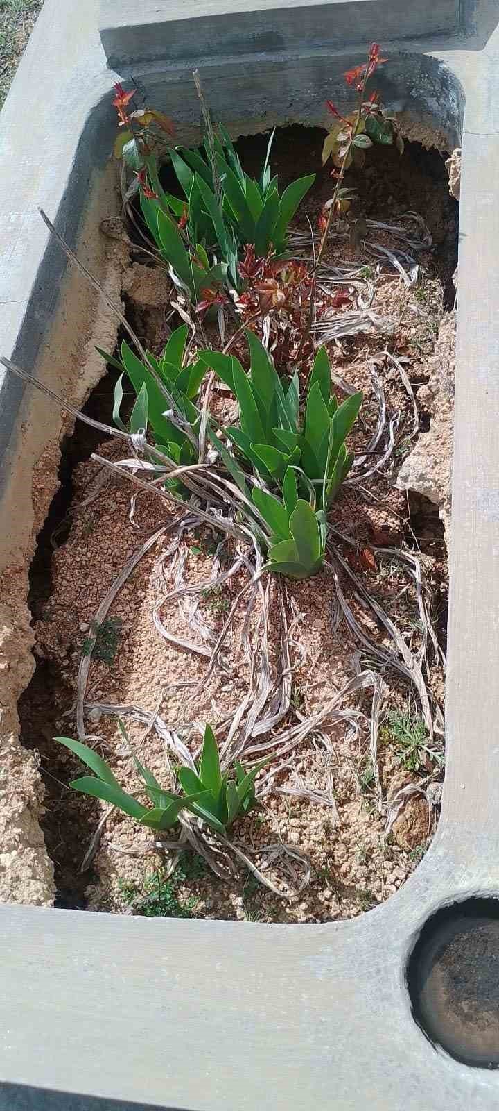 Elazığ’da yağışlar nedeniyle mezarlar çöktü