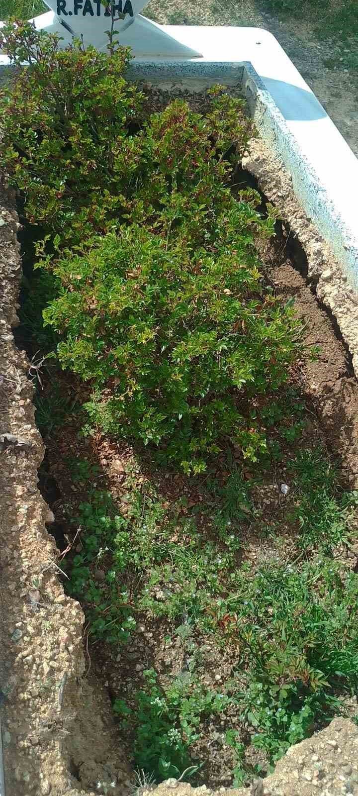 Elazığ’da yağışlar nedeniyle mezarlar çöktü