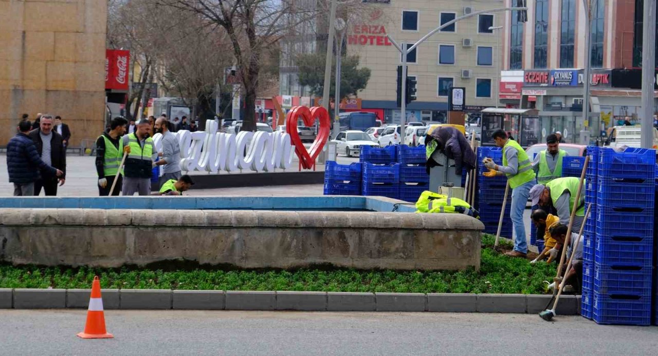 Erzincan karanfil açacak