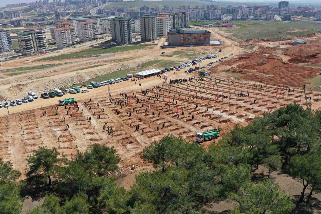 26. Orman, deprem şehitlerinin anısına oluşturuldu