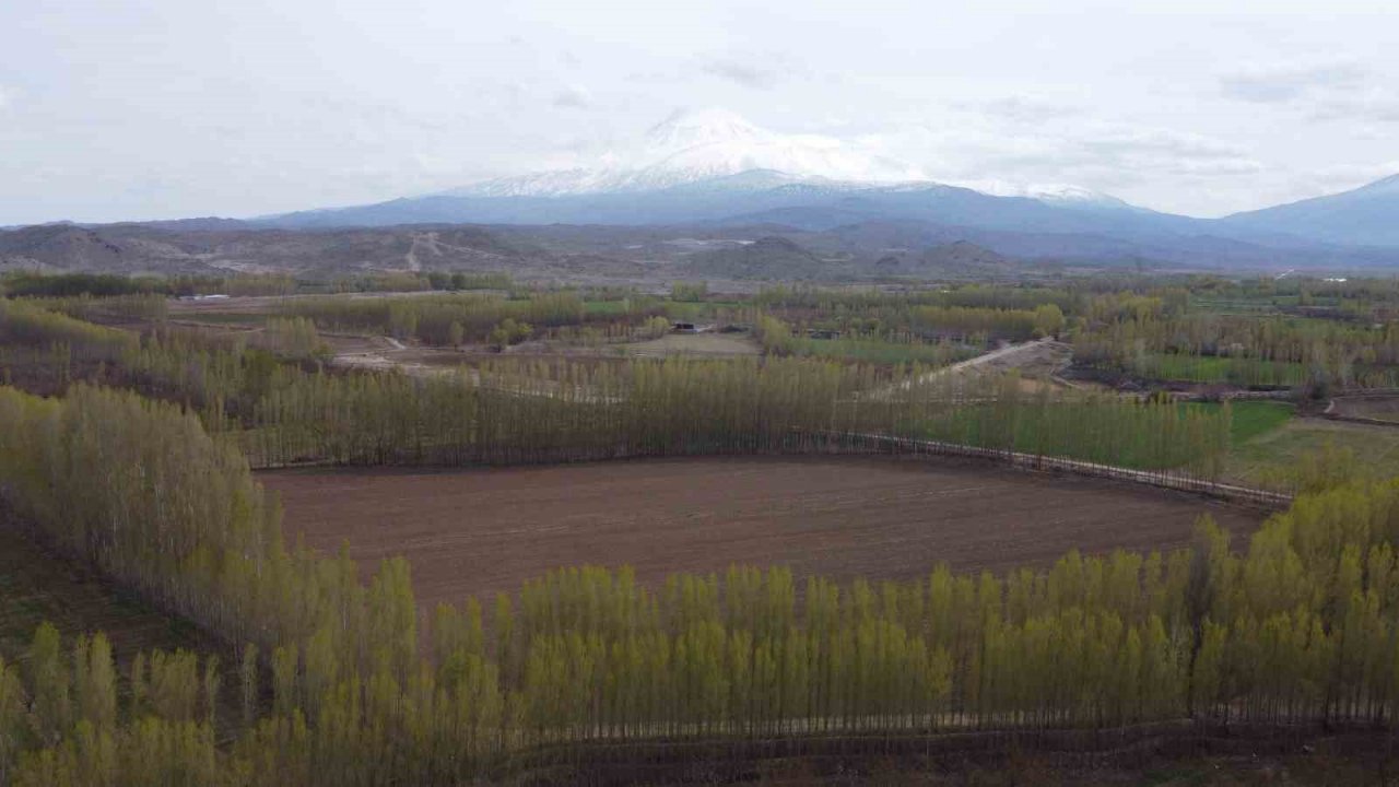 Iğdır’da kış ve bahar bir arada
