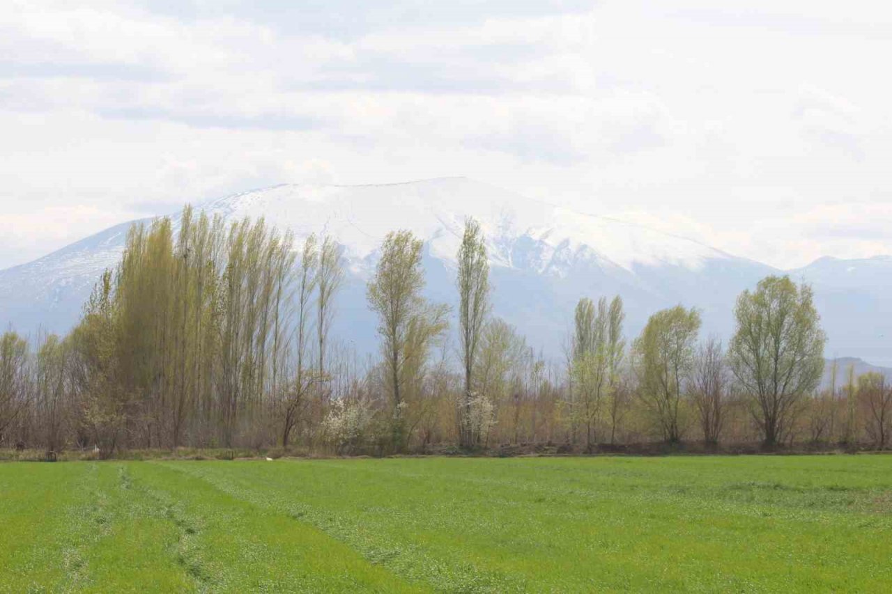 Iğdır’da kış ve bahar ayı bir arada
