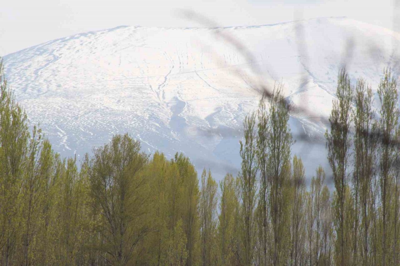 Iğdır’da kış ve bahar ayı bir arada