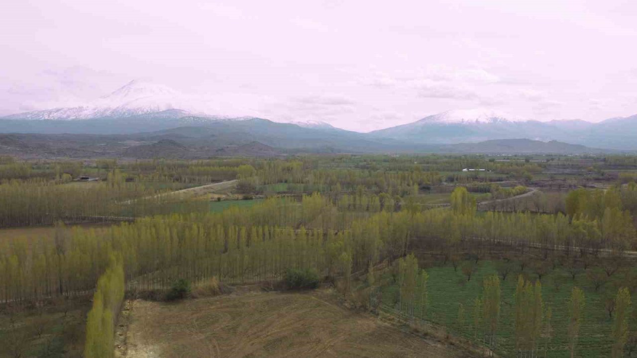 Iğdır’da kış ve bahar ayı bir arada