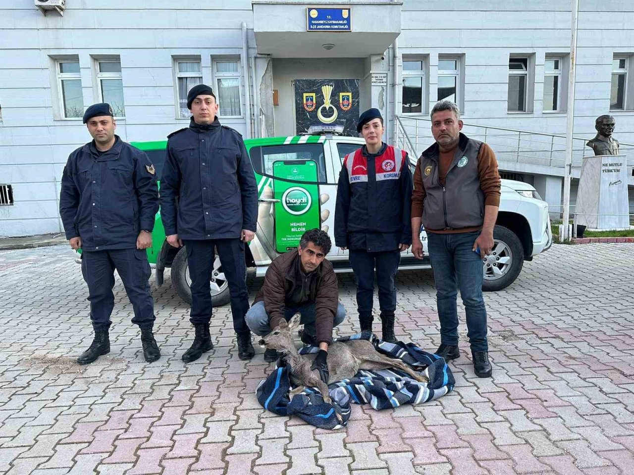 Jandarma ekiplerinin bulduğu yaralı karaca tedavi altına alındı