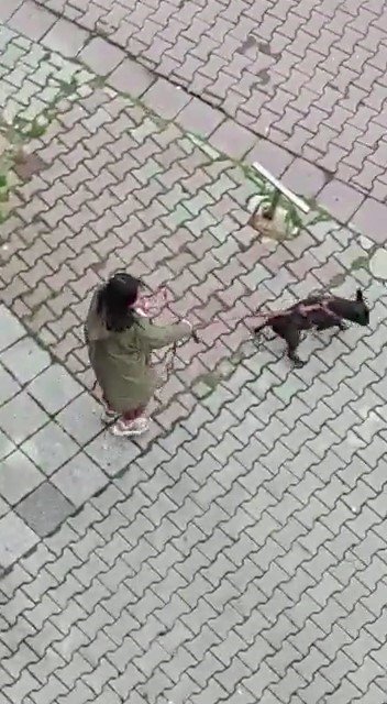 Kadıköy’de Kur’an Kursu’na saldırı