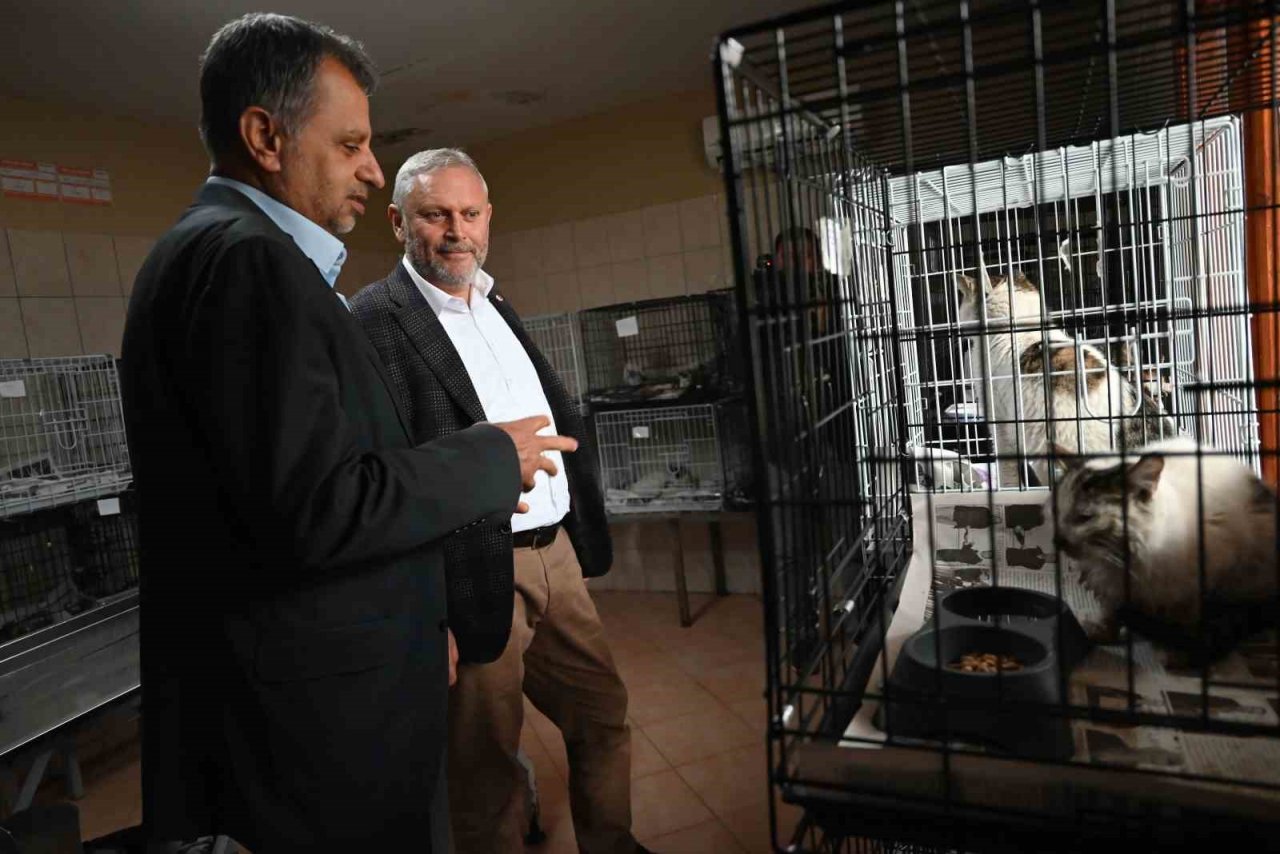 Kemer’de hayvan barınağı incelendi