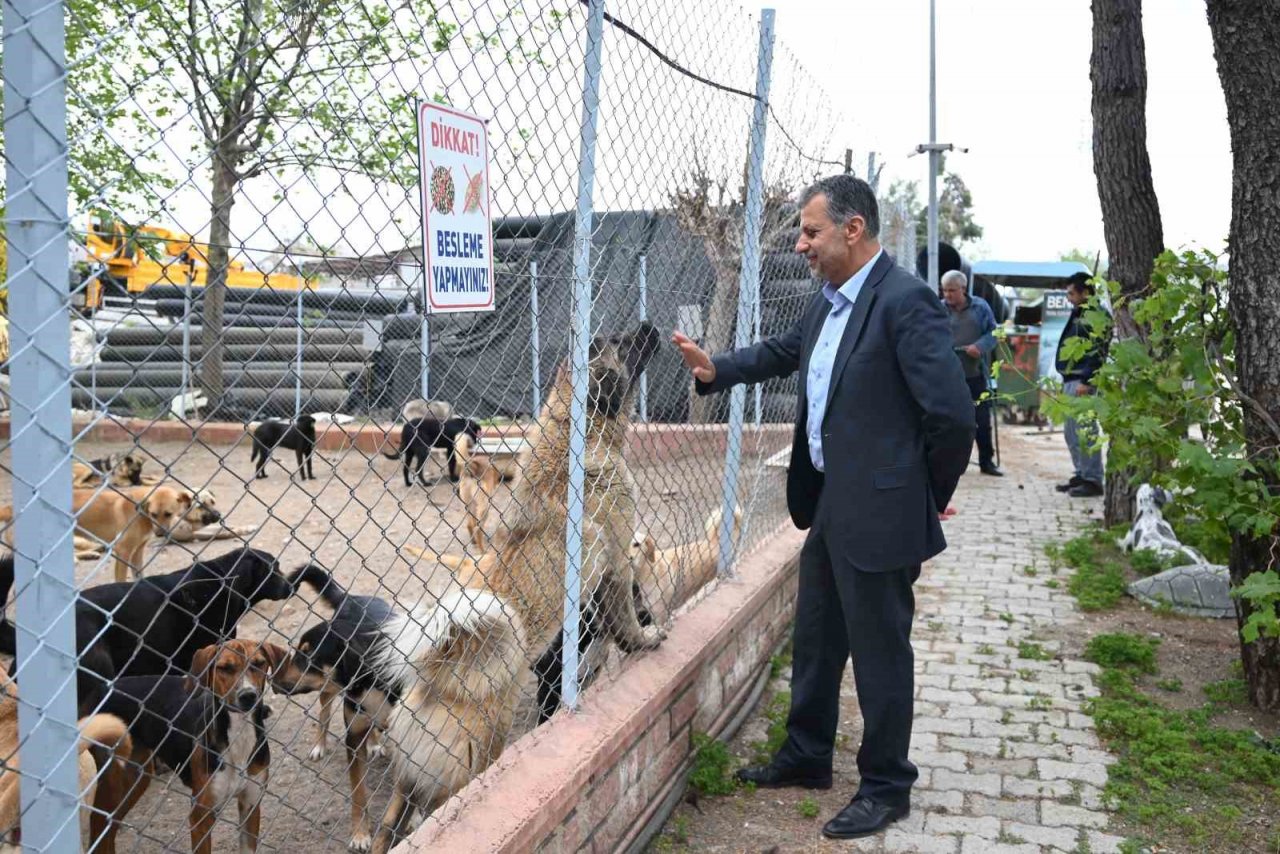 Kemer’de hayvan barınağı incelendi