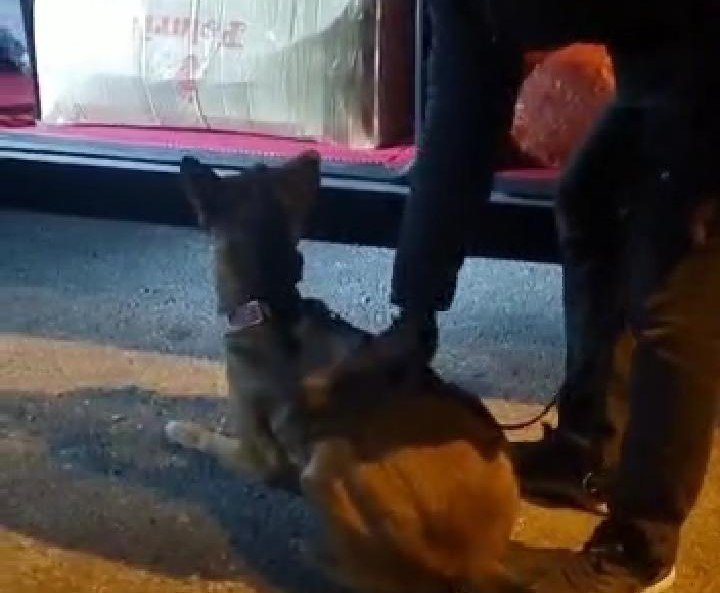 Malatya’da yolcu otobüsünde 52 kilo uyuşturucu ele geçirildi