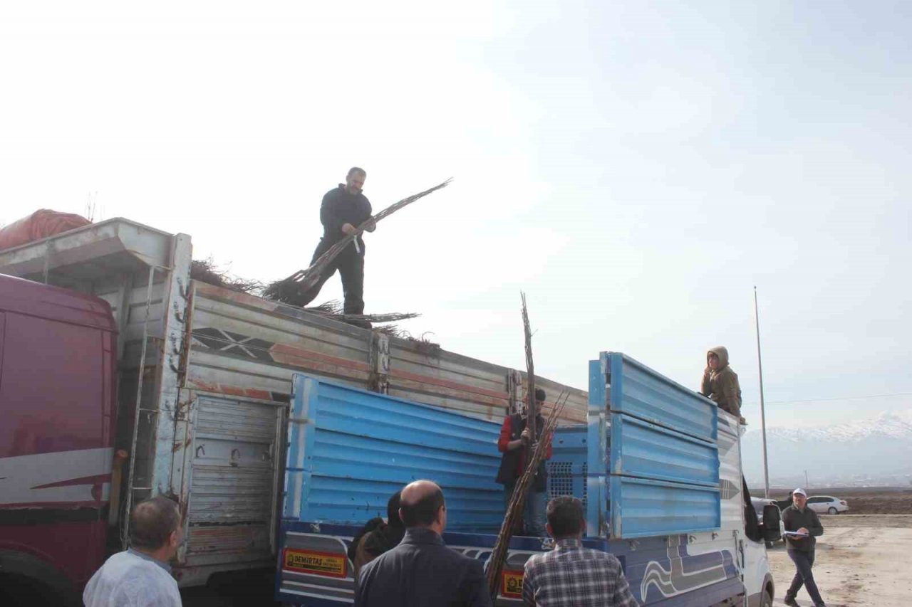 Muş’ta çiftçilere 20 bin meyve fidanı dağıtıldı