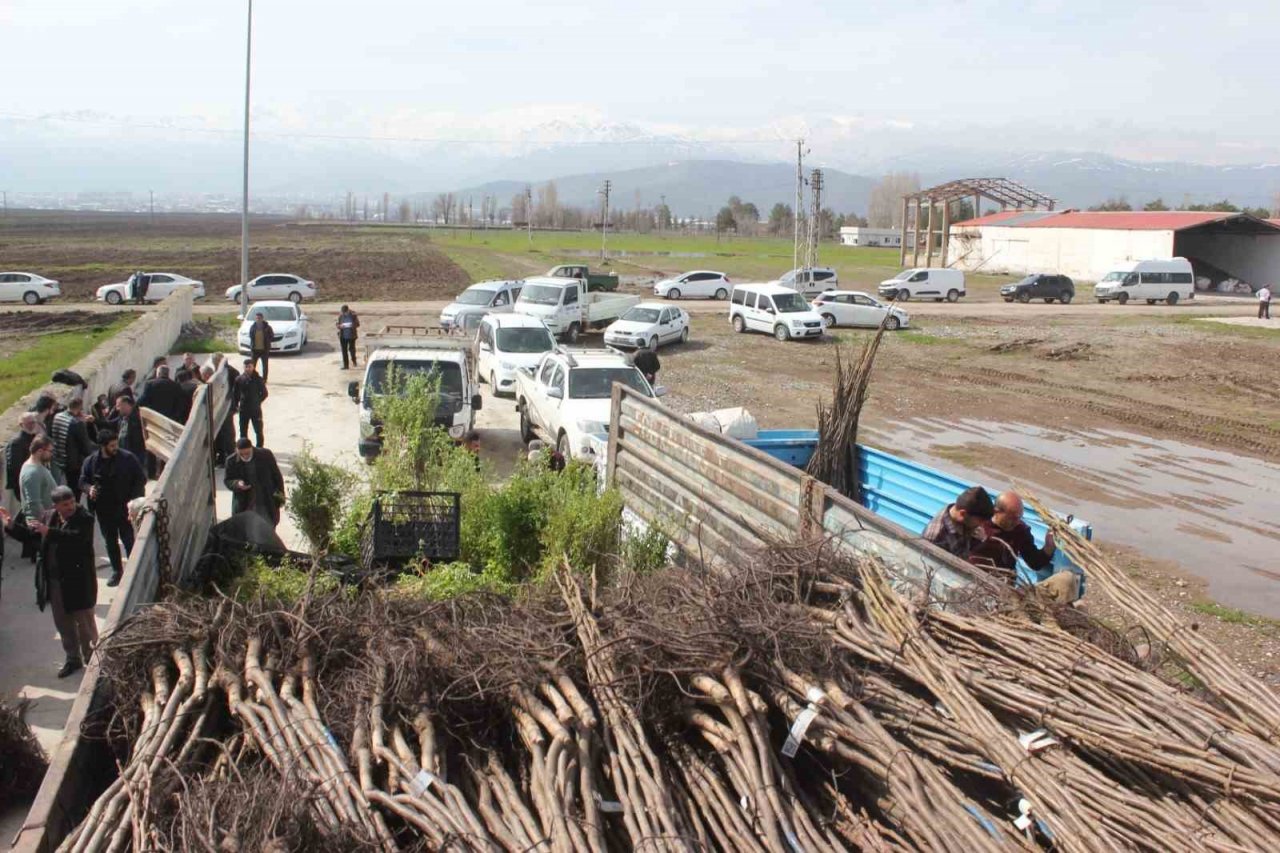 Muş’ta çiftçilere 20 bin meyve fidanı dağıtıldı