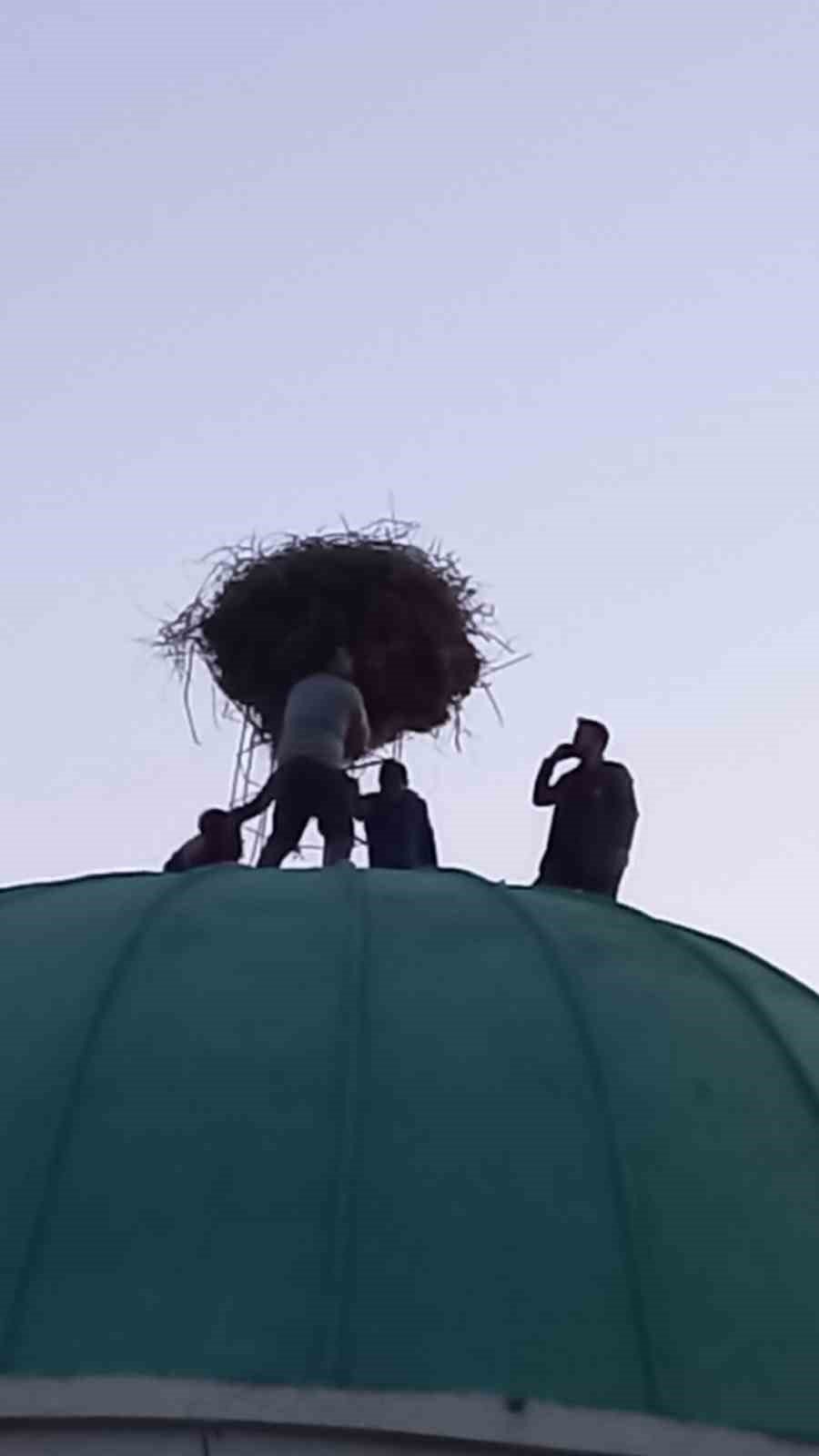 Depremzede leylek ailesi güvenli kubbeye taşındı