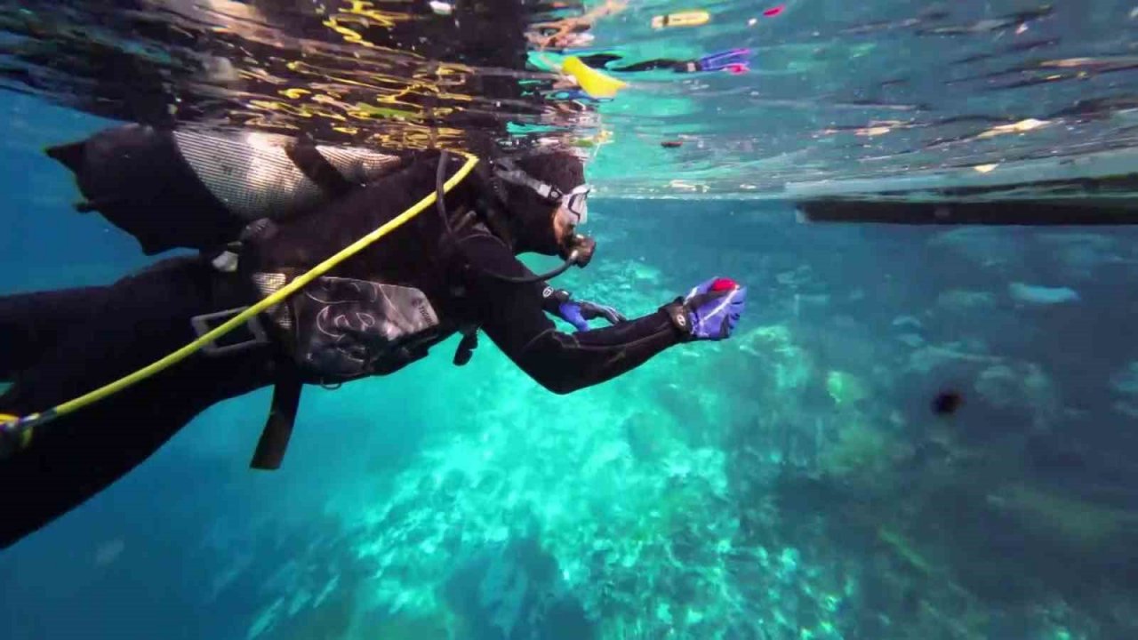 Eşine yaptığı sürprizle tüm erkekleri zora soktu