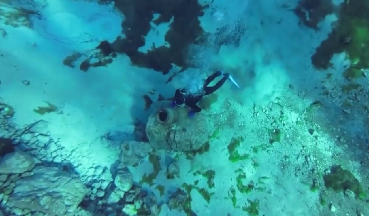 Eşine yaptığı sürprizle tüm erkekleri zora soktu