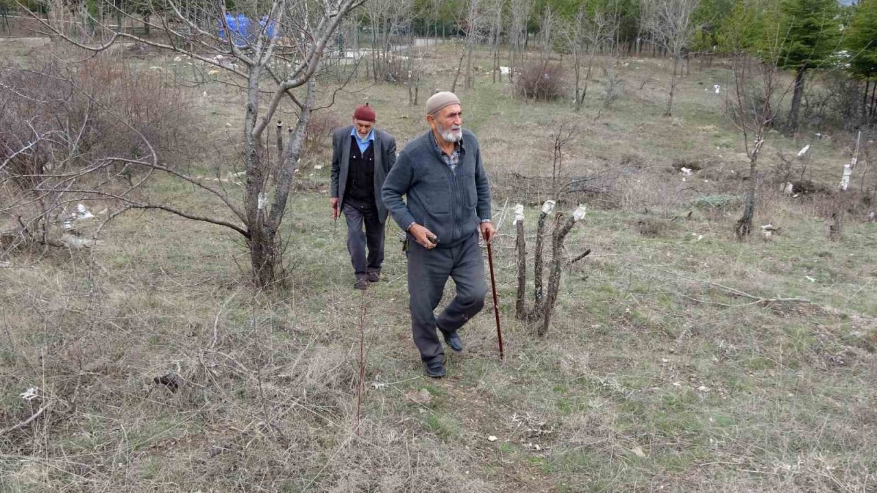 Huzuru yabani meyve ağaçlarını aşılayarak buluyorlar