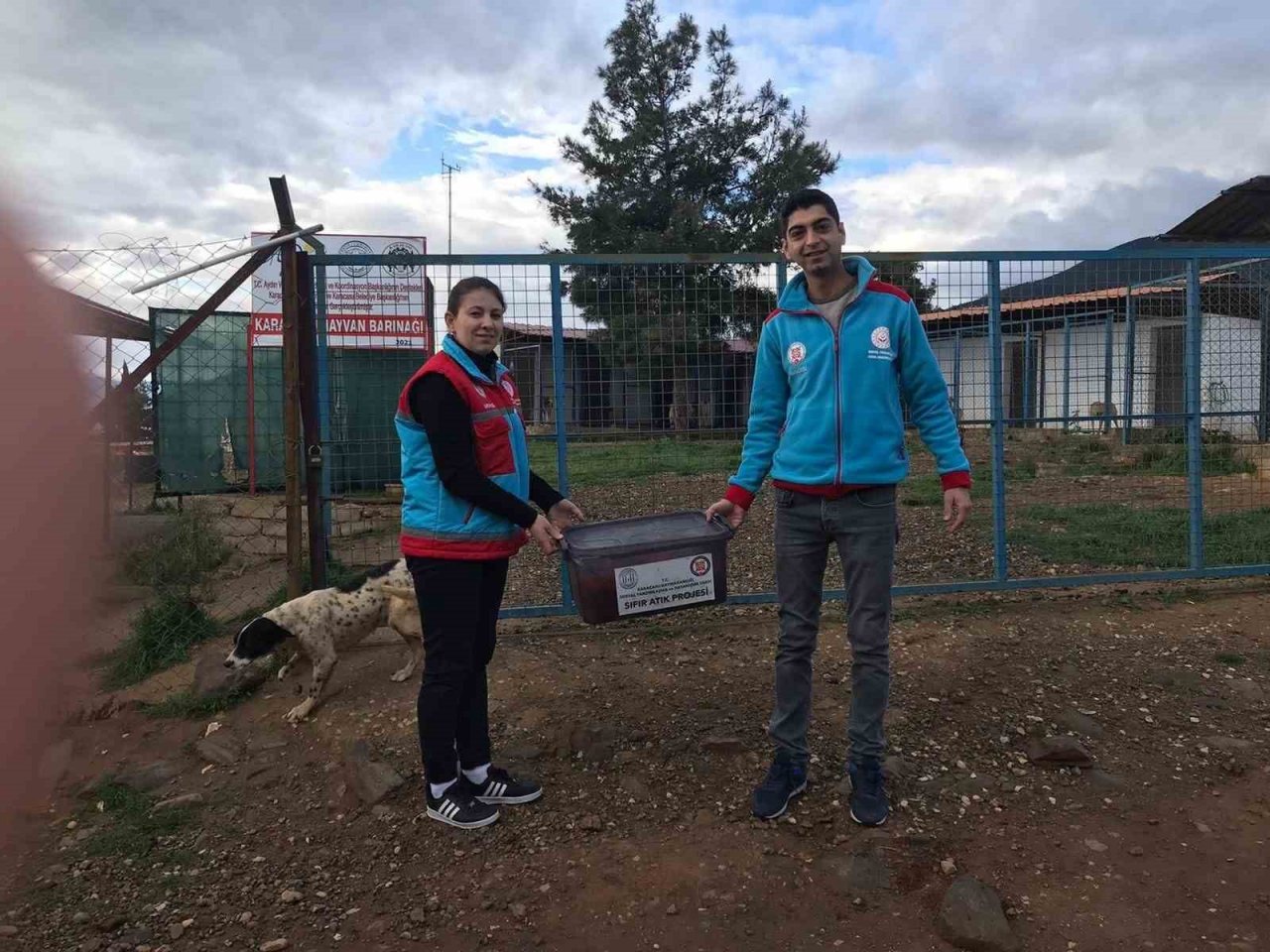 Karacasu’daki lokantalarda artan yemekler can dostlar için toplanıyor