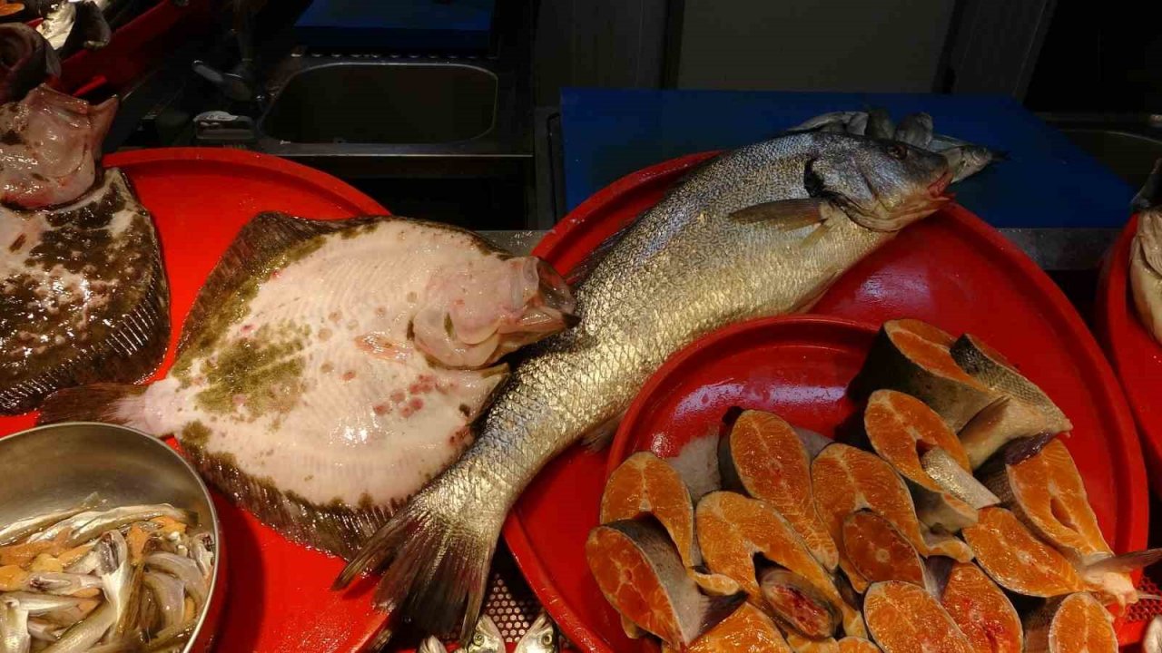Trabzon Balıkhali’nin en ucuz balıkları İzmirli İzmarit ve Kupes