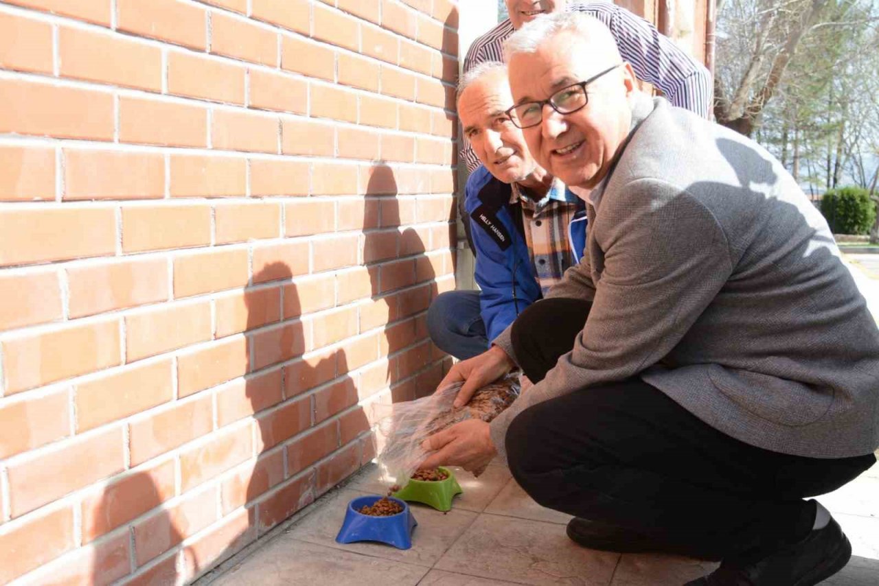 Tazelenme Üniversitesi öğrencileri sokak hayvanlarını unutmadı