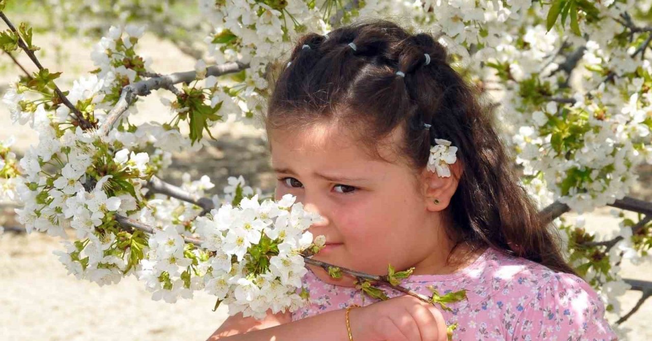 Erzincan’da meyve ağaçları çiçek açmaya başladı