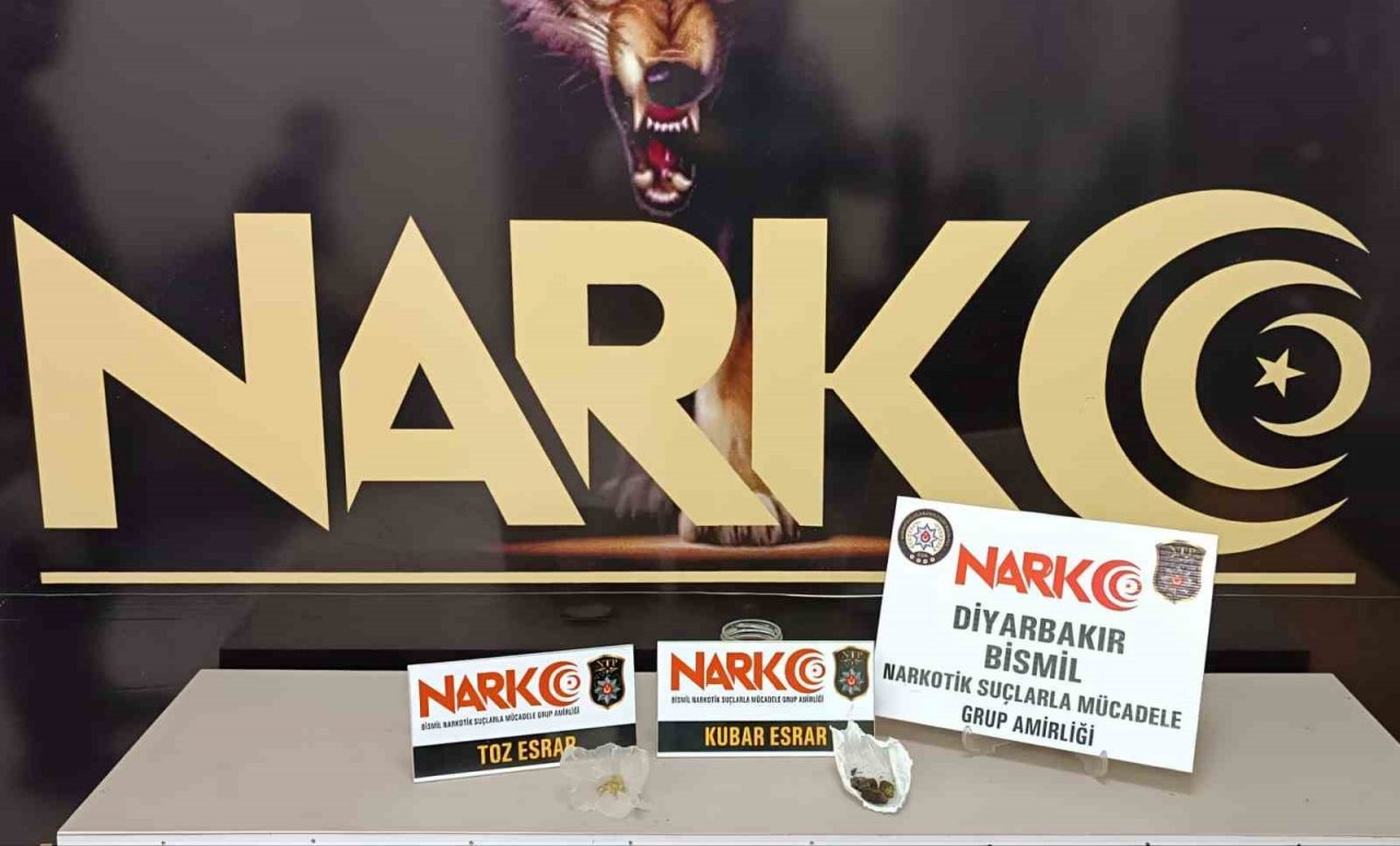 Bismil’de huzur asayiş uygulamasında 9 kişi tutuklandı