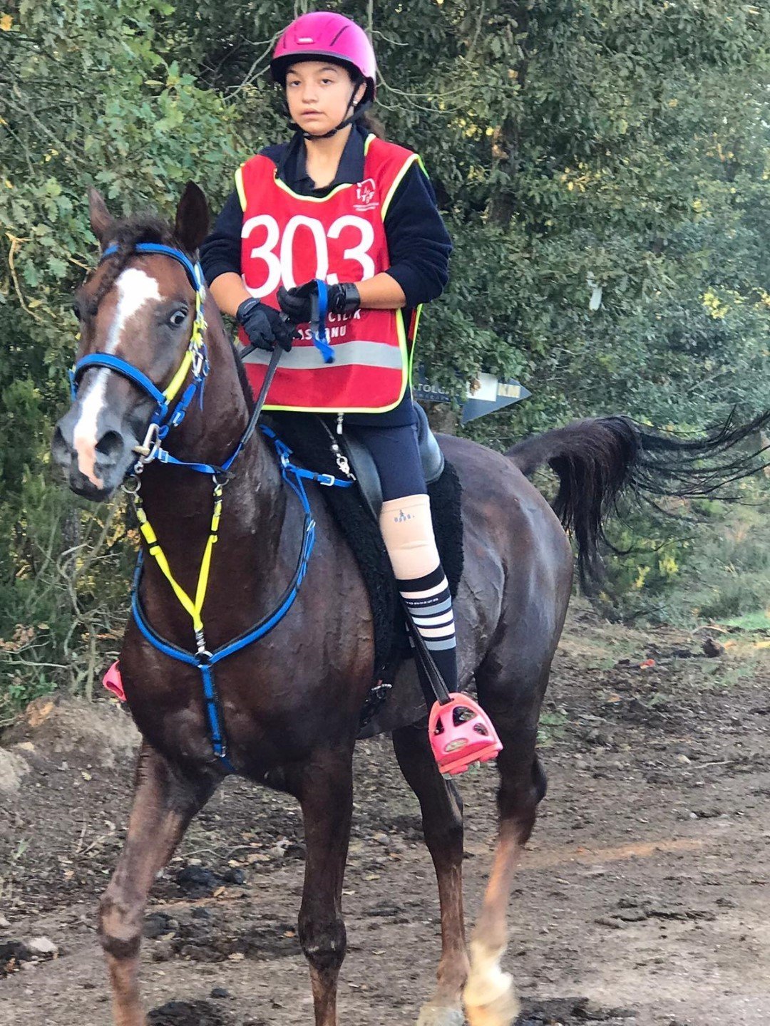 17 kulüpten 65 sporcu atlı dayanıklılıklarını konuşturdu