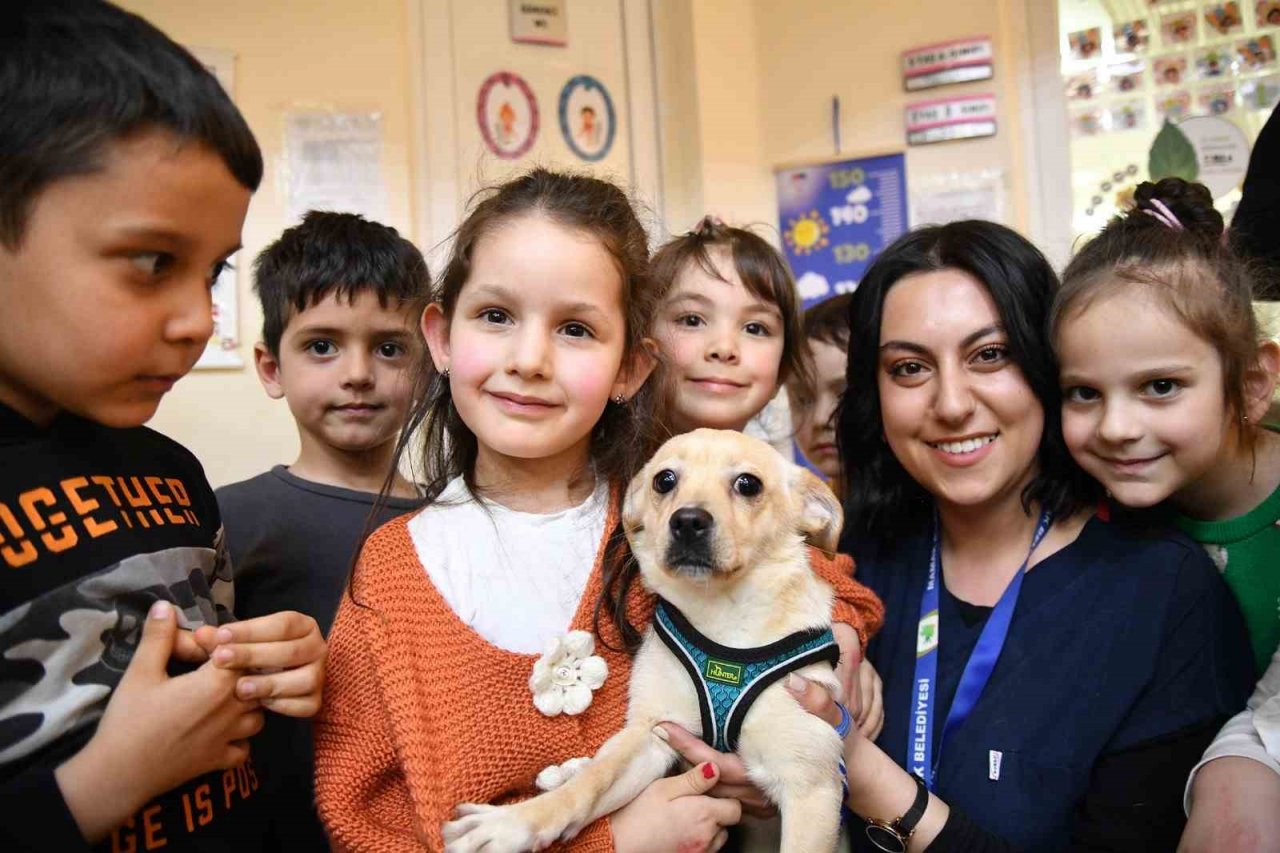 Mamak’ta Dünya Sokak Hayvanları Günü kutlandı